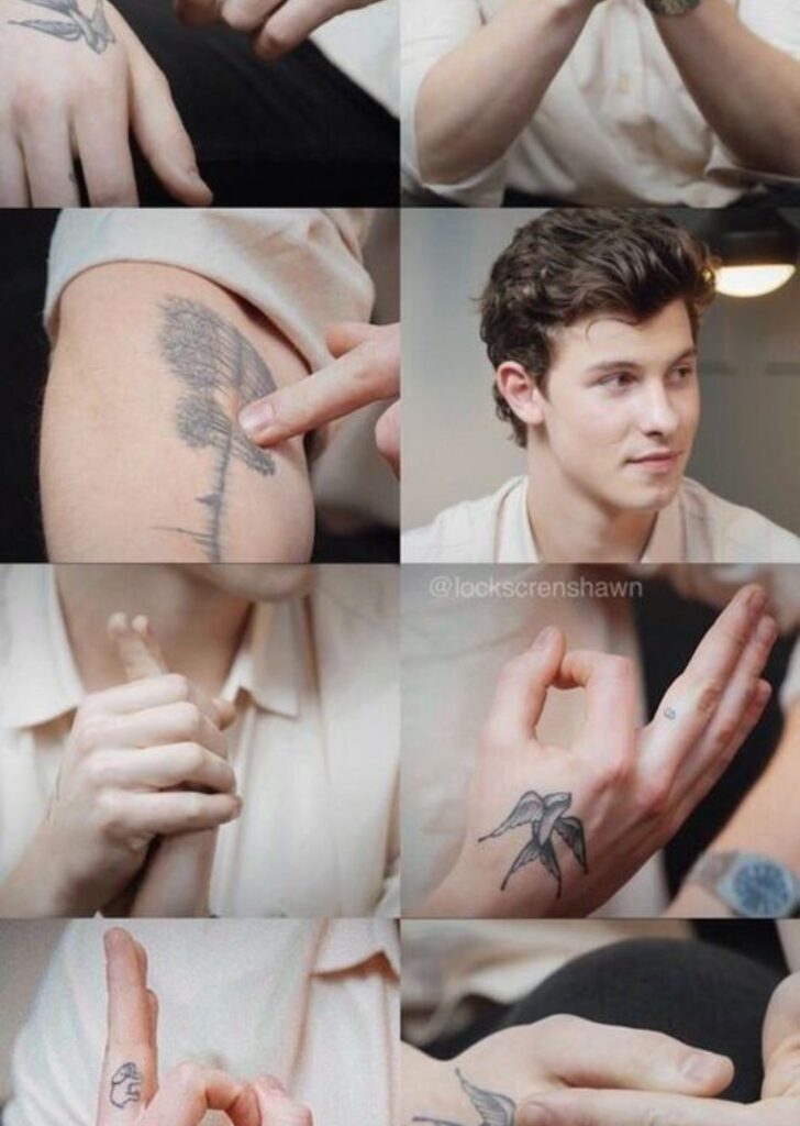 Inked Identity: Exploring Shawn Mendes' Tattoos