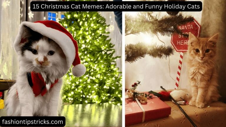 15 Christmas Cat Memes: Adorable and Funny Holiday Cats