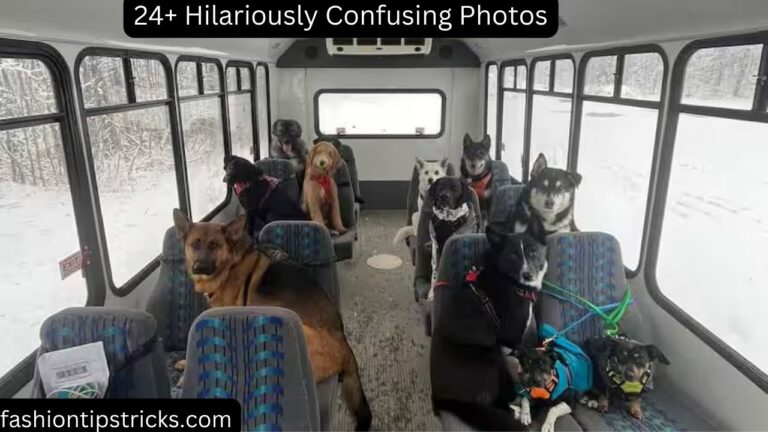 24+ Hilariously Confusing Photos