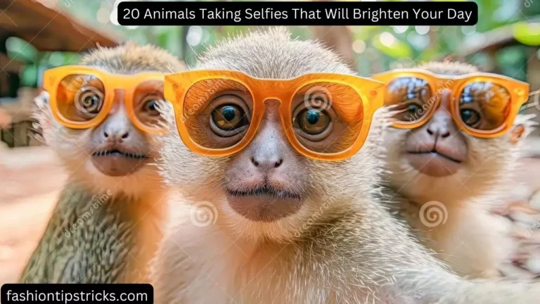 18 Animals Taking Selfies That Will Brighten Your Day