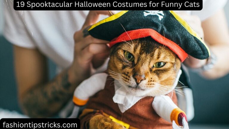19 Spooktacular Halloween Costumes for Funny Cats
