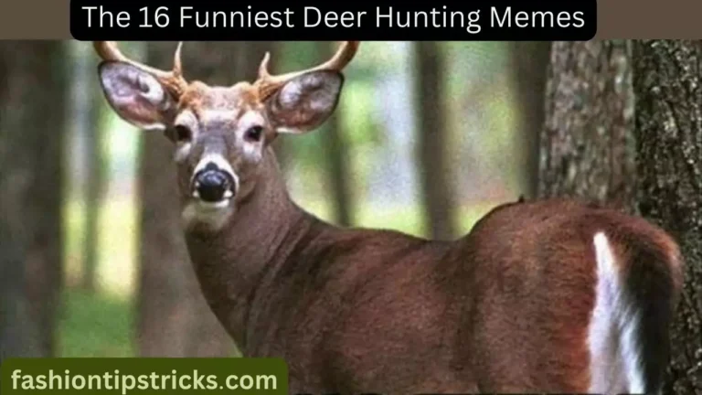 The 16 Funniest Deer Hunting Memes