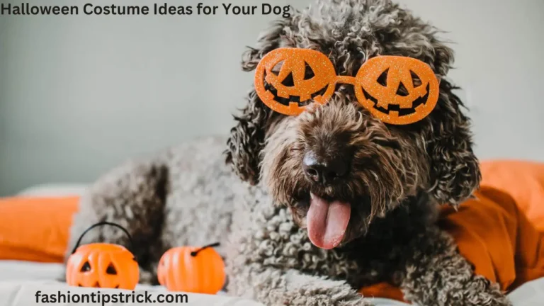 Halloween Costume Ideas for Your Dog