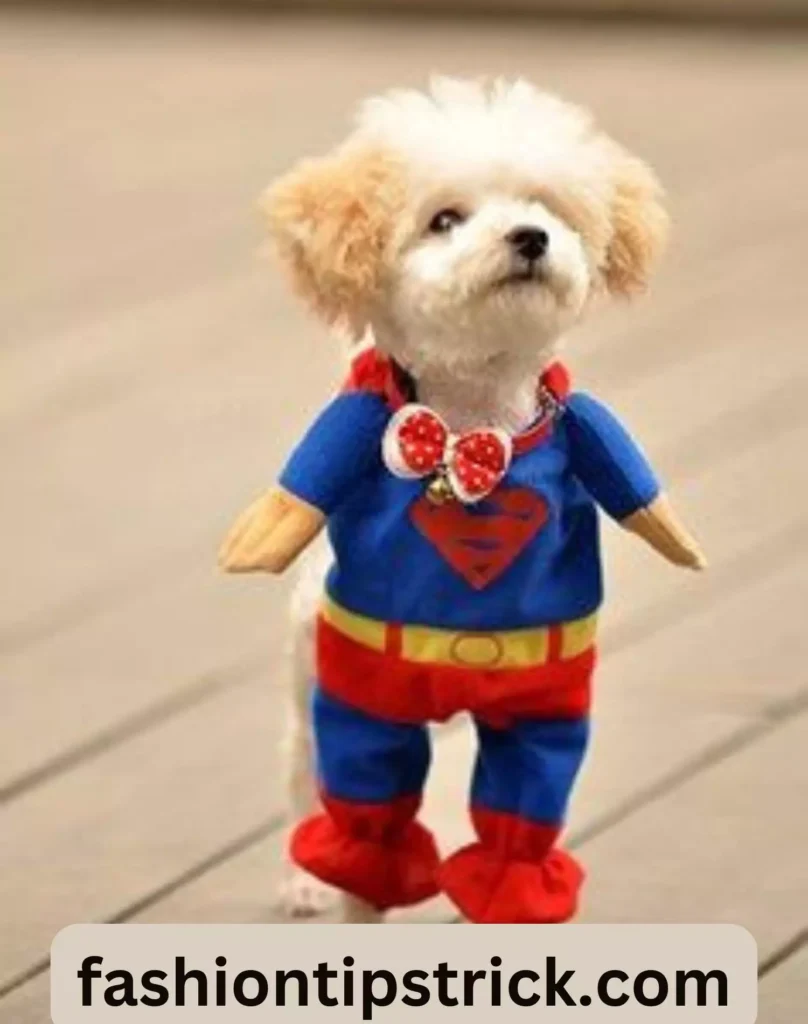 Superhero Dog