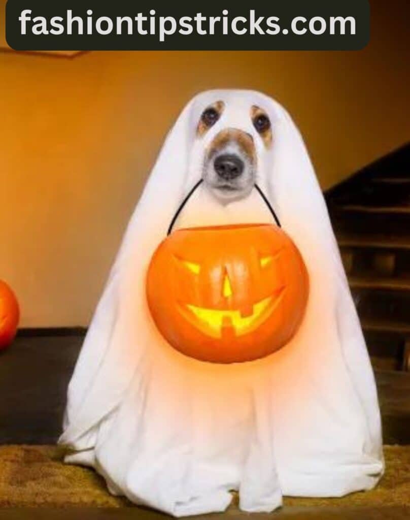 Ghost Hound