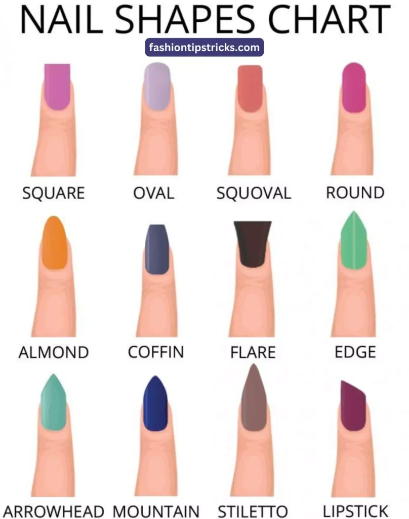 Nail Shape Chart