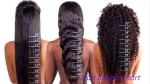 The Ultimate Hair Length Chart: Find the Perfect Cut for Your Face Shape